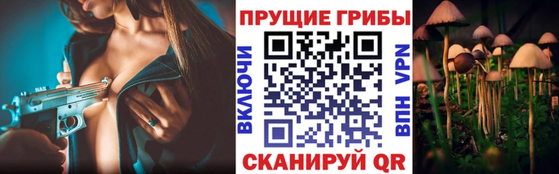 Псилоцибиновые грибы Magic Shrooms  купить закладку  Аргун 